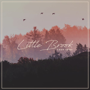 东北毛60发妇女毛片
